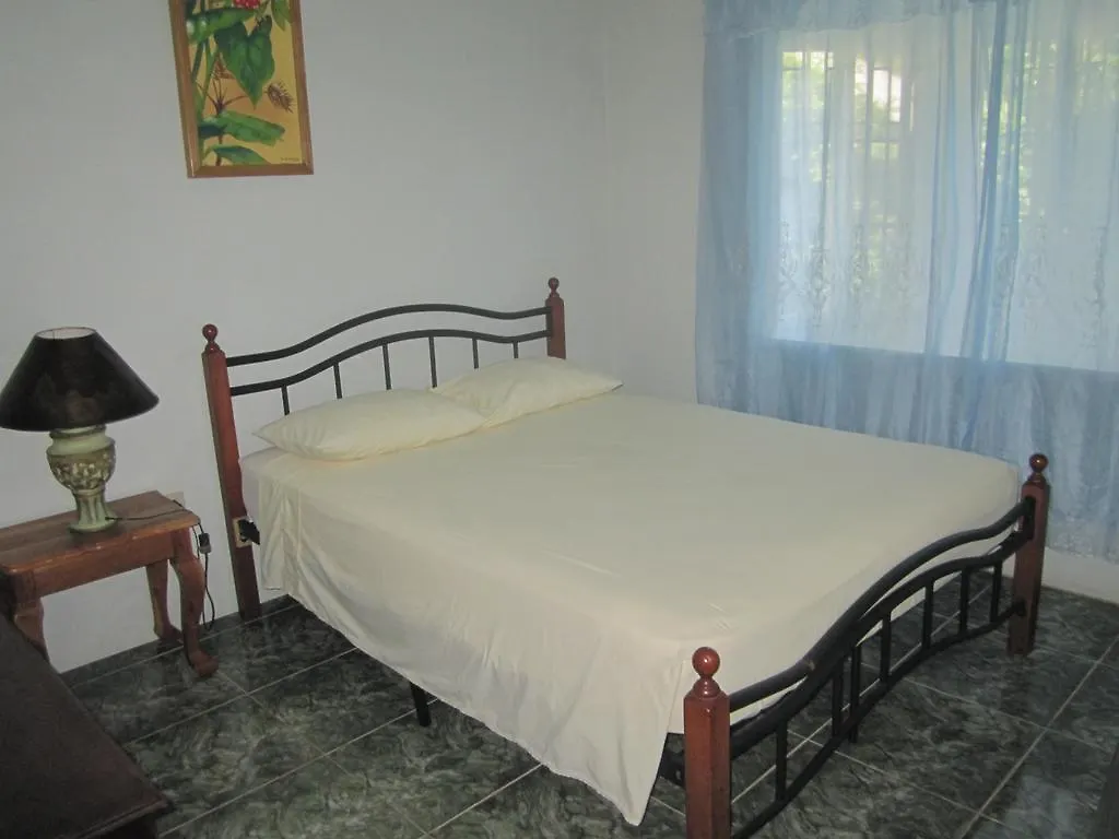 Fairy Hill Palms Apartment Port Antonio Homestay