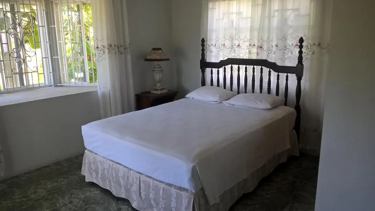 Fairy Hill Palms Apartment Port Antonio 0*,