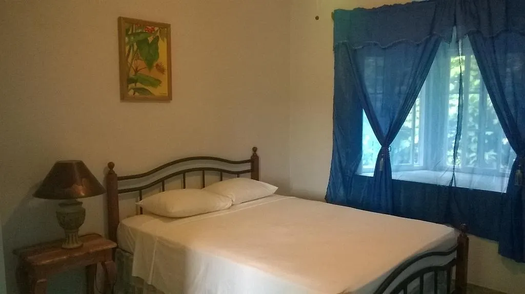 Fairy Hill Palms Apartment Port Antonio