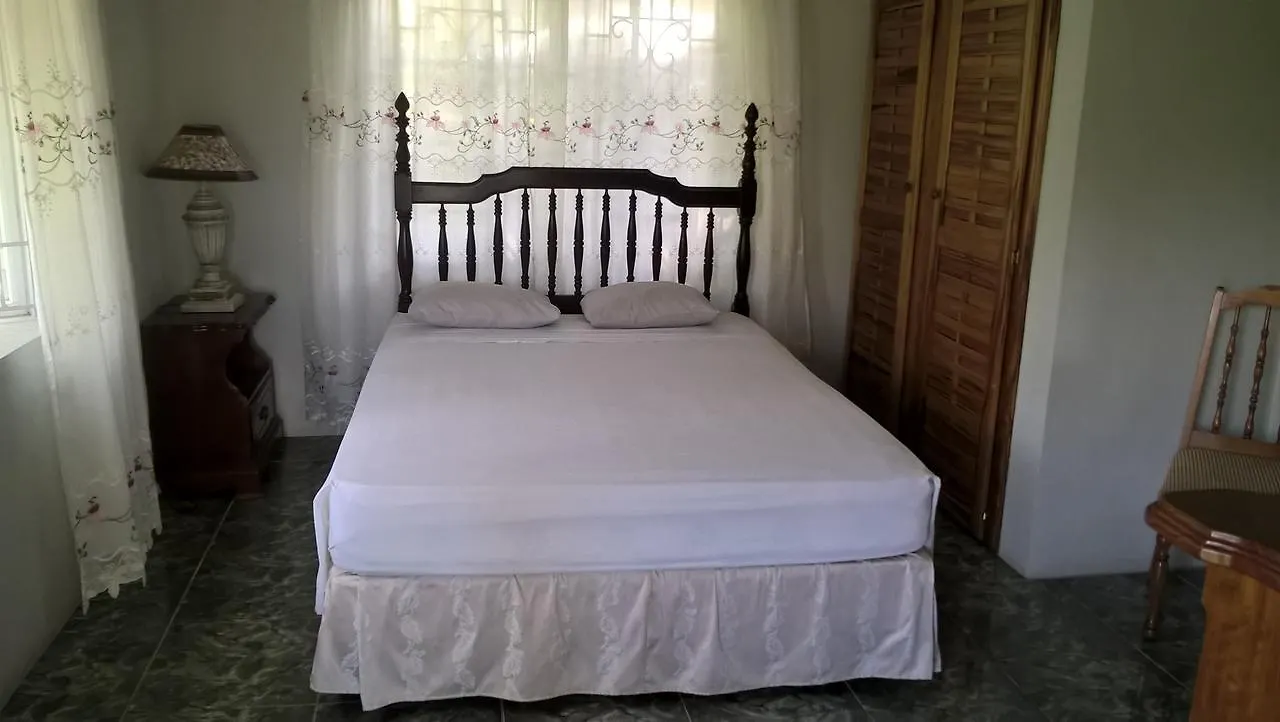 Fairy Hill Palms Apartment Port Antonio Homestay